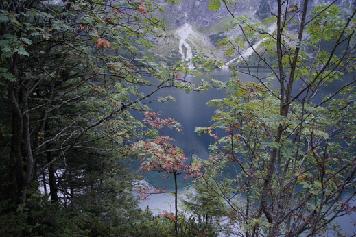 Xếp chữ thành thơ