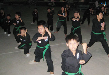 NHỮNG BÁU VẬT CỦA VÕ BÌNH ĐỊNH - BÀI CUỐI: