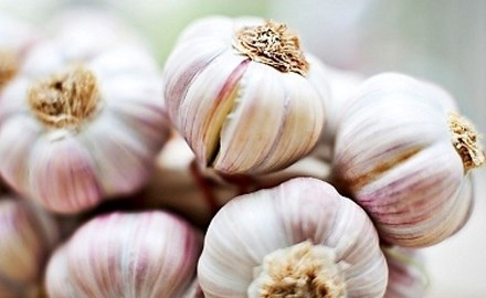 Phòng tránh cao huyết áp đơn giản từ tỏi