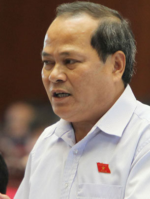 Chất vấn tại Quốc hội: Căng thẳng chuyện cho nước ngoài thuê đất trồng rừng