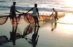 Biển trong ngôn ngữ người Việt