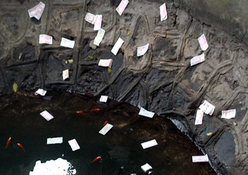 'Các lễ hội đặt quá nhiều hòm công đức'