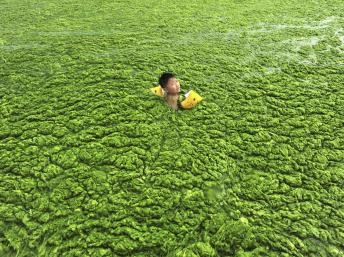 Điểm báo Quốc tế