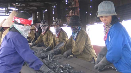 Phải đấu giá quyền khai thác than