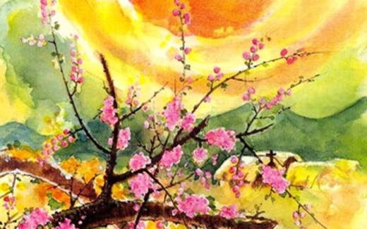 THÔNG BÁO CỦA TÌNH QUẢNG BÌNH 
VỀ CHƯƠNG TRÌNH  VUI XUÂN TRÊN QUÊ HƯƠNG QUẢNG BÌNH