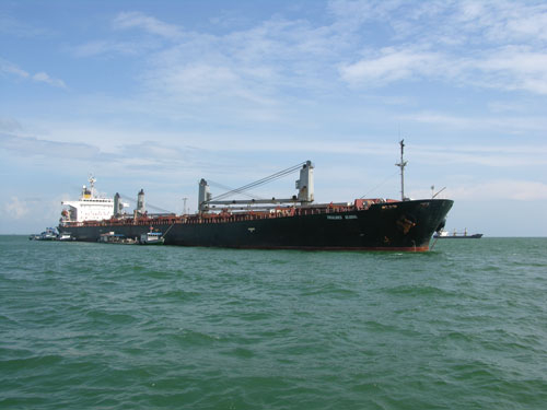 Vinalines đã “nhấn chìm” bao nhiêu tiền?