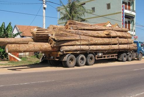 AAi cân cầu Sài Gòn? (Kỳ cuối)