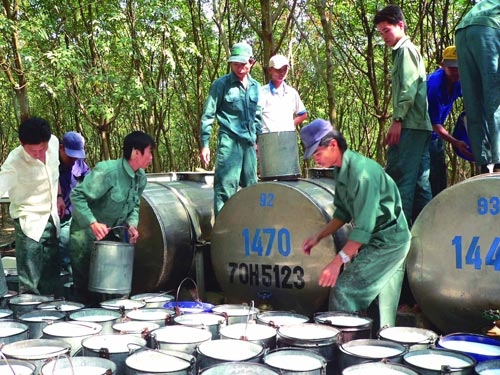 Thương lái Trung Quốc gom hàng: Rủi ro thủy sản, cao su