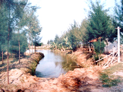 Ông chủ trang trại bí ẩn