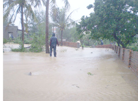 Đang ăn, đang ngủ bỗng núi đổ, đất cựa nứt nhà