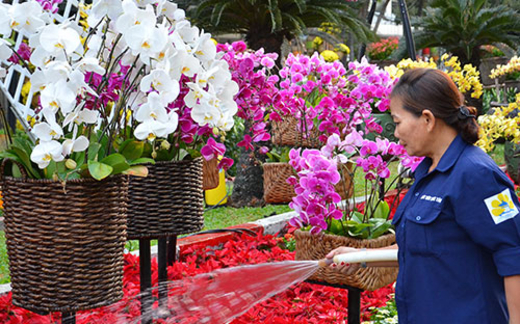 Giám đốc nhận lương khủng: 3 sở "chống lưng"