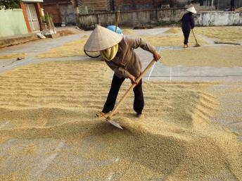 Điểm báo Quốc tế