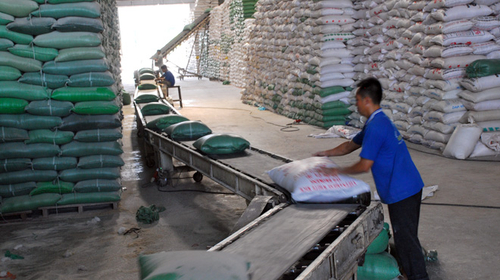 Trung Quốc tăng mua gạo Việt Nam
