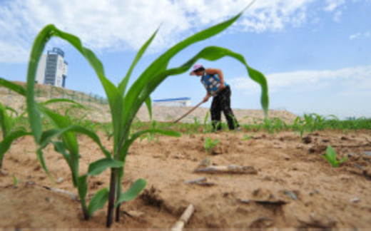 'Nên sợ biến đổi khí hậu'