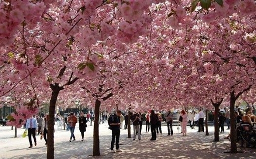 Con đường tình yêu.