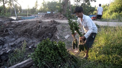 Đất khu công nghiệp bỏ hoang: Tiếc đứt ruột!