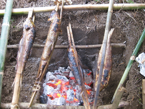 “Lễ hội Đánh bắt cá Suối”- lưu giữ nét văn hóa của người Mường