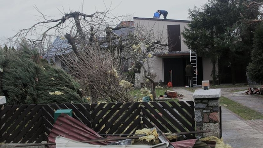 Mùa đông năm nay không giống mùa đông, có lẽ điều bất thường đang trở thành điều bình thường mới