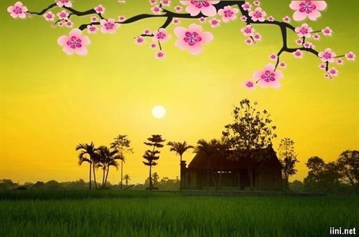 Cảm xúc giao thừa nơi xa xứ.