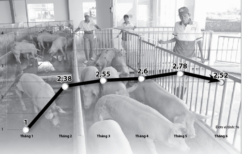 Chỉ số giá tiêu dùng tháng 6 giảm 0,26%:  Suy kiệt sức mua