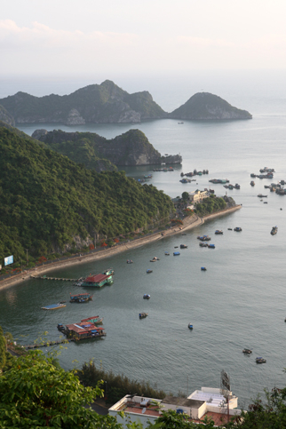 Cát Bà bao điều kỳ thú nơi hoang dã