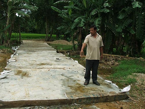 Cuốn theo cơn lốc tìm trầm