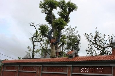 Tài sản của con Bí thư Hải Dương: Cơ quan TƯ cần làm rõ