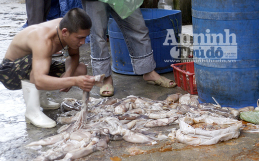 Cái chết từ từ đi qua đường... miệng!