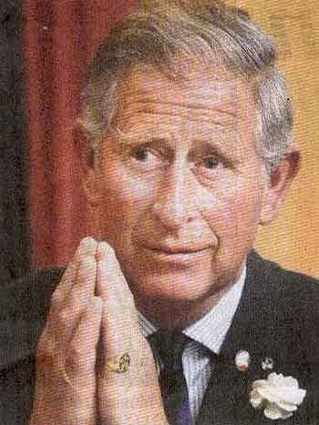 Đả kích cả thái tử