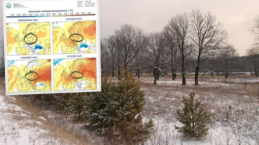 Dự báo thời tiết mùa đông tại Ba Lan