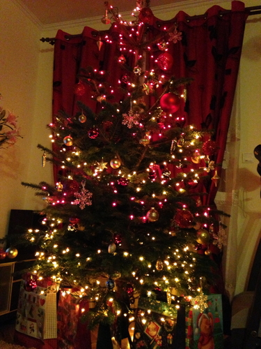 Sonia và chuyện kể Giáng Sinh