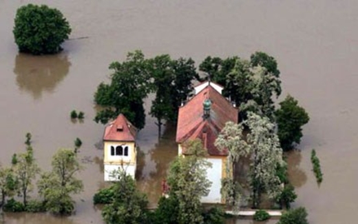 Những “hạt sạn” sống “dai”