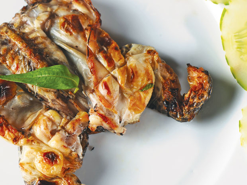 Ếch mùa mưa hơn cả gà đồng