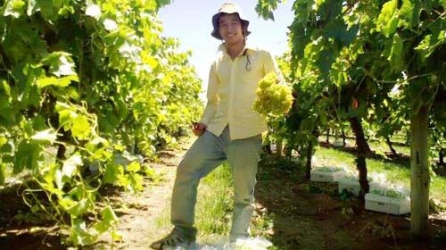 Làm thêm ở Úc: Những gam màu sáng tối