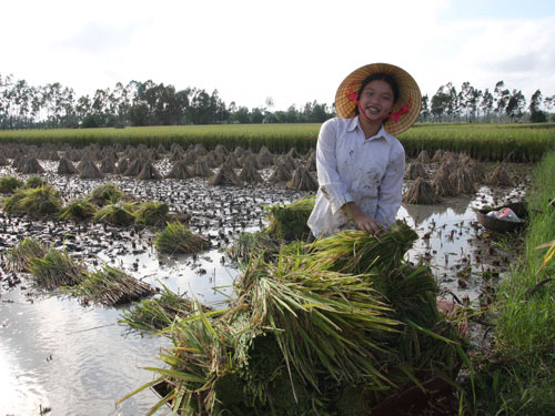 Dự Luật Đất đai: Vẫn bất cập