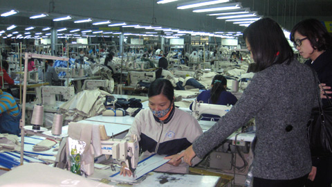 Giảm, giãn thuế không cứu nổi DN