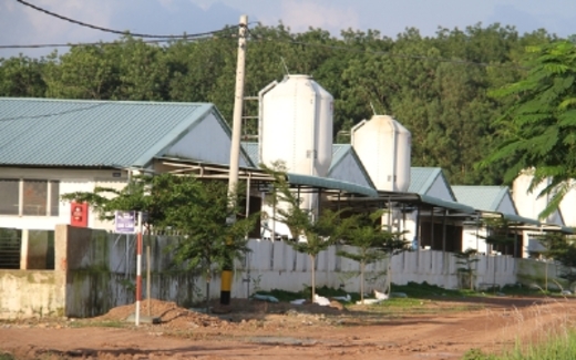 Hàng loạt doanh nghiệp phá sản tại TP.HCM