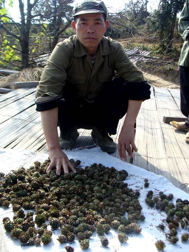 Bí ẩn vương quốc ngọc am cực quý ở Tây Côn Lĩnh