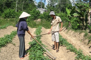 “Vé vớt” nào cho chàng trai thi ĐH đạt 25 điểm bị “trục trặc lý lịch”?