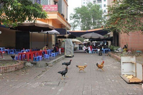 “Không nên có loại nhà gọi là nhà tái định cư”