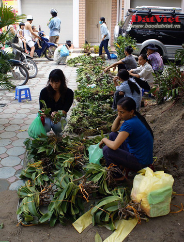 Điểm mặt những thú chơi 'quý tộc' của dân nhà giàu