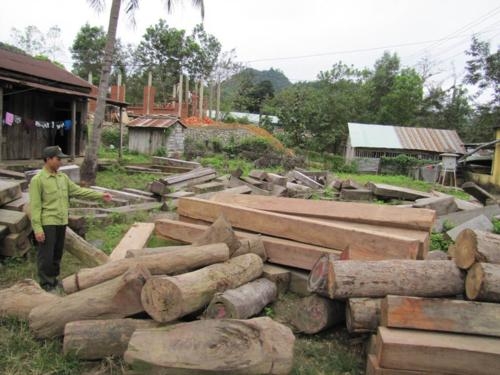 Gỗ lậu vào mùa