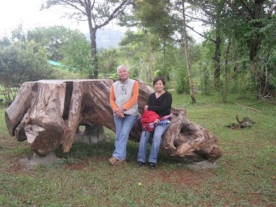 Mong cho cuộc đời tử tế hơn