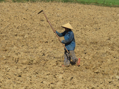 Thủy điện “giết” hạ du