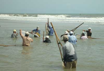 Sục biển tìm vàng