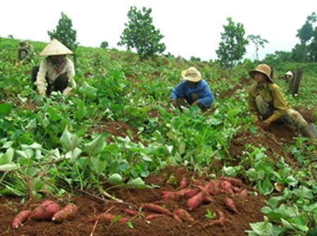 Vấn đề chủ quyền và… thương lái Trung Quốc