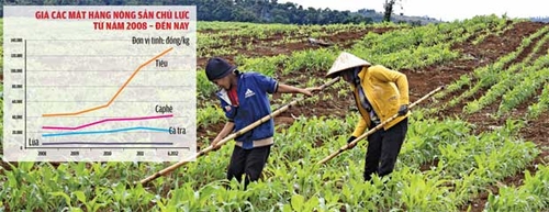 Nông nghiệp, những “bờ ruộng” chờ phá bỏ