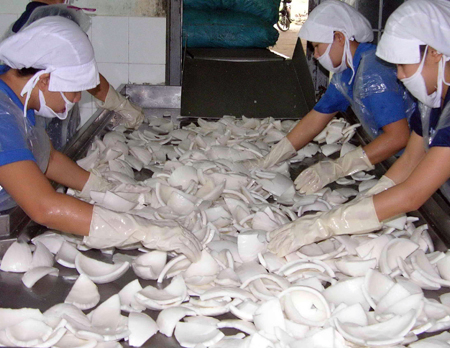 Thương lái Trung Quốc thao túng lúa, dừa khô
