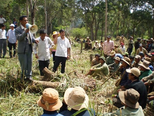 487.780 m² rừng Krông Năng bị chặt phá