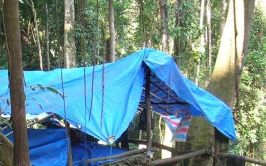 Đời phu trầm săn giấc mơ tỷ phú